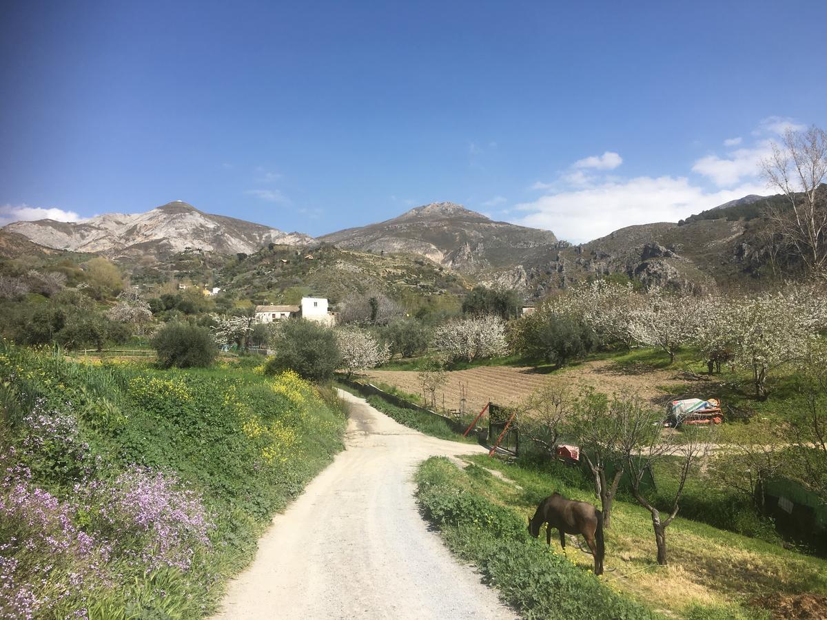 Hotel Rural Fuente La Teja Guejar Sierra Dış mekan fotoğraf
